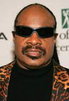 Stevie Wonder photo